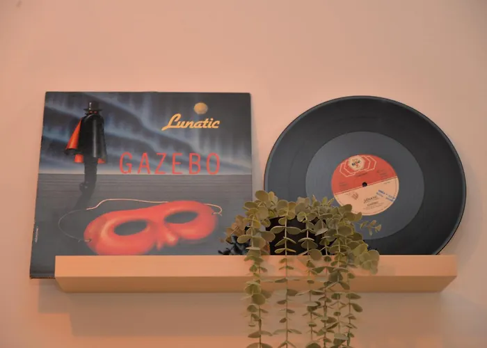 Vinyls' Green Home - Toledo Centro Storico